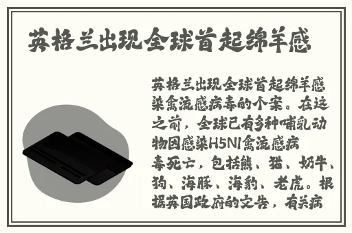 久久这里只精品免费6